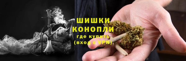 трава Нязепетровск