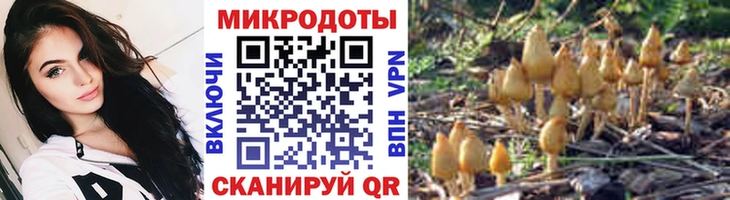 Галлюциногенные грибы мицелий  купить  цена  Туринск 